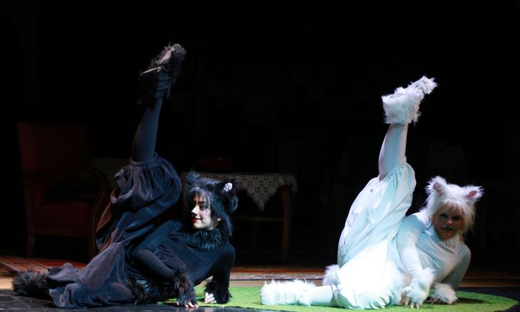 FRAKK, A MACSKÁK RÉME