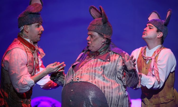 Diótörő és Egérkirály