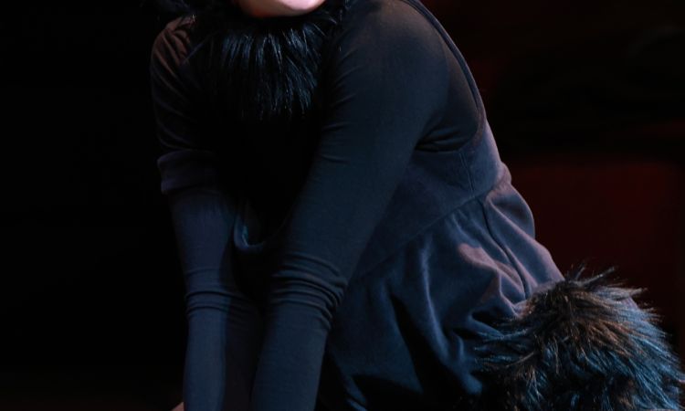 FRAKK, A MACSKÁK RÉME