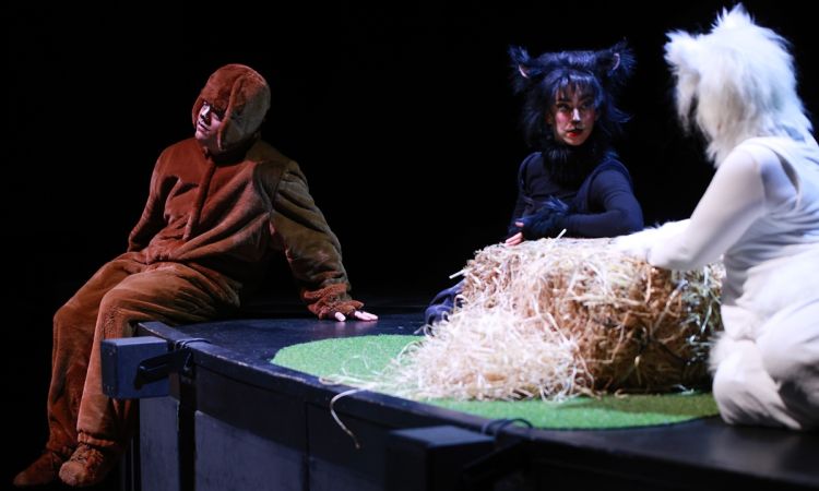 FRAKK, A MACSKÁK RÉME