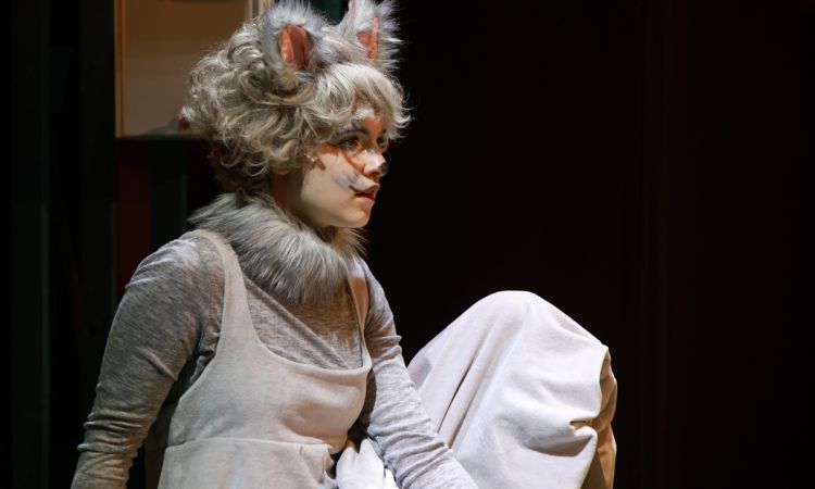 FRAKK, A MACSKÁK RÉME