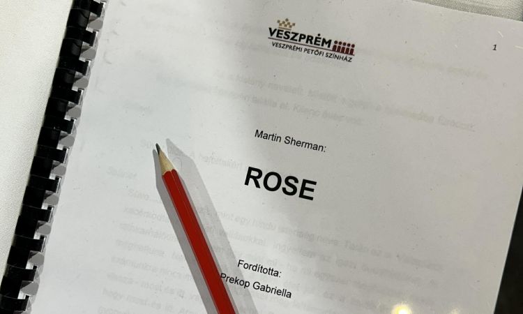 Elkezdődtek a Rose című monodráma próbái!